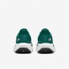Philadelphia Eagles Pegasus 41