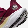 Florida State Pegasus 41