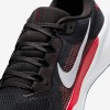 Tampa Bay Buccaneers Pegasus 41