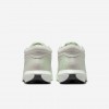 LeBron Witness VIII