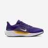 LSU Pegasus 41