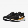 Pittsburgh Steelers Pegasus 41