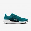Jacksonville Jaguars Pegasus 41