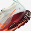 Nike Pegasus Trail 5 GORE-TEX