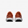 Texas Pegasus 41
