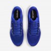 Kentucky Pegasus 41
