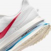 Nike Pegasus Premium