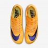 Nike Zoom Rival Sprint