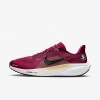 Florida State Pegasus 41