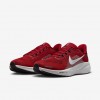 Arizona Cardinals Pegasus 41