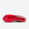 Nike Maxfly 2