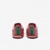 Nike Maxfly 2