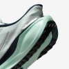 Nike Pegasus EasyOn