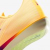 Nike Maxfly 2