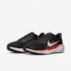 Oregon State Pegasus 41