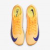 Nike Maxfly 2
