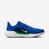 Seattle Seahawks Pegasus 41