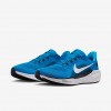 Carolina Panthers Pegasus 41