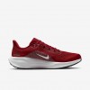 Arizona Cardinals Pegasus 41