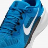 Carolina Panthers Pegasus 41