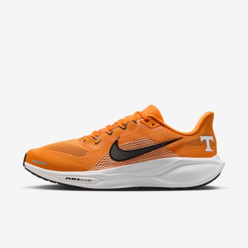 Tennessee Pegasus 41