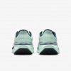 Nike Pegasus 41