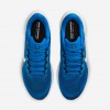 Detroit Lions Pegasus 41