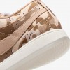 Book 1 &quot;Desert Camo&quot;