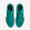Miami Dolphins Pegasus 41