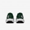 Michigan State Pegasus 41