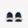 Dallas Cowboys Pegasus 41
