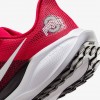 Ohio State Pegasus 41