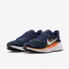Denver Broncos Pegasus 41