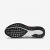 New England Patriots Pegasus 41