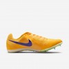 Nike Zoom Rival Multi