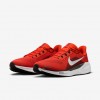Cleveland Browns Pegasus 41