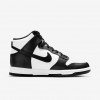 Nike Dunk High