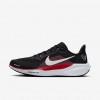 Houston Texans Pegasus 41
