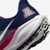 Arizona Pegasus 41