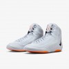 Nike Inflict 4 SE