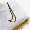 Nike Inflict 4