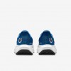Indianapolis Colts Pegasus 41
