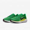 Oregon Pegasus 41