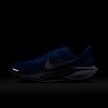 Detroit Lions Pegasus 41